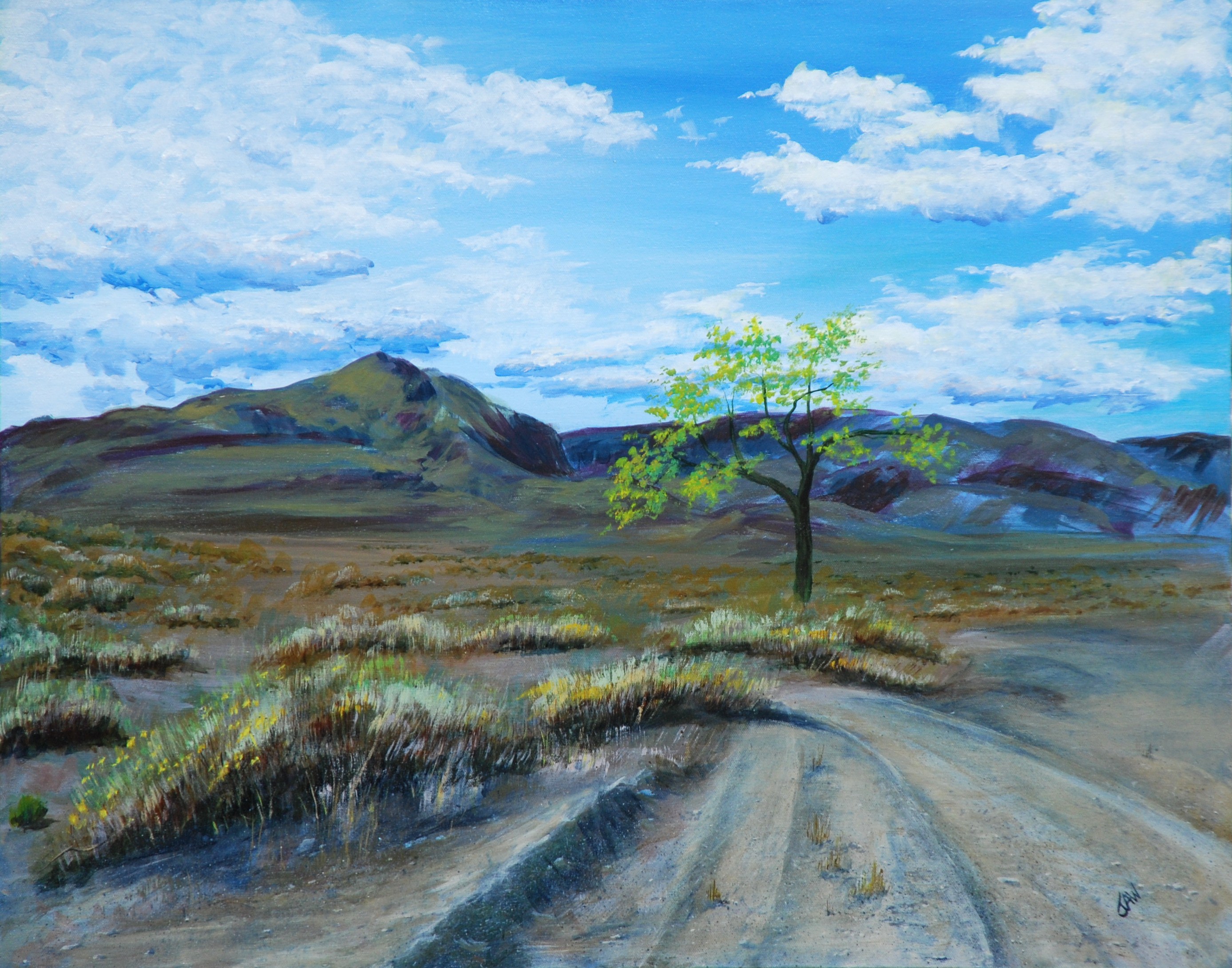 Judy Wilson